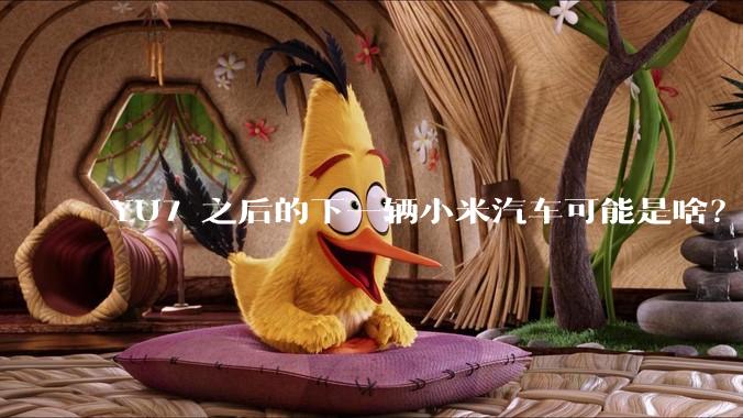 YU7 之后的下一辆小米汽车可能是啥？小米会把所有车型做一遍吗？