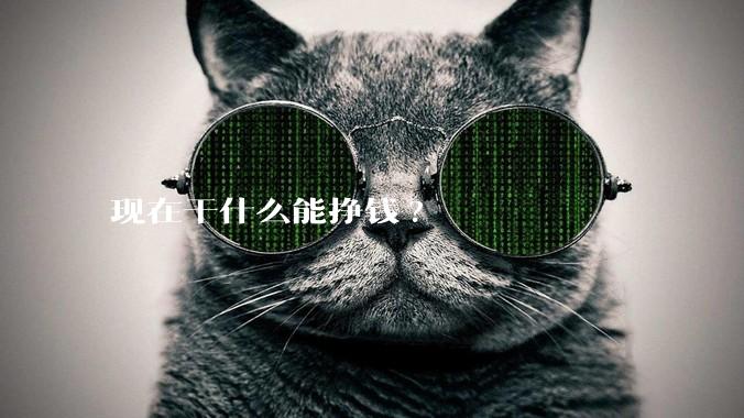 现在干什么能挣钱?